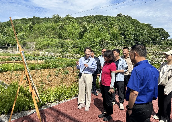 2024.06.06  國家自然資源部礦業權司一級調研員程越一行調研大業礦山_1.jpg